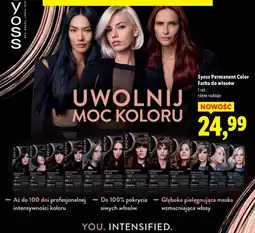 Lidl Farba do włosów 1-1 czerń Syoss Permanent oferta