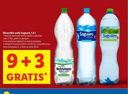 Lidl Woda Saguaro oferta