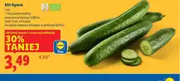 Lidl BIO Ogórek oferta