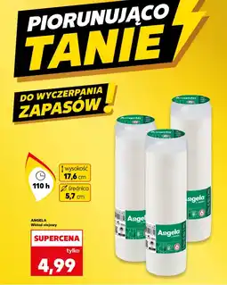 Kaufland Wkład olejowy Angela oferta