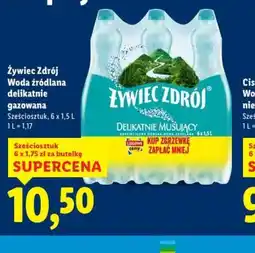 Lidl Zywiec Zdrój oferta