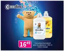 Drogerie Polskie Coccolino Fresh&Soft płyn do płukania oferta
