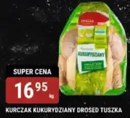 bi1 Kurczak kukurydziany drosed tuszka oferta