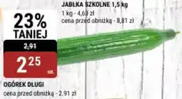 bi1 Ogórek długi oferta