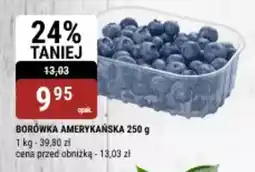 bi1 Borówka amerykańska oferta