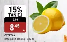 bi1 Cytryna oferta