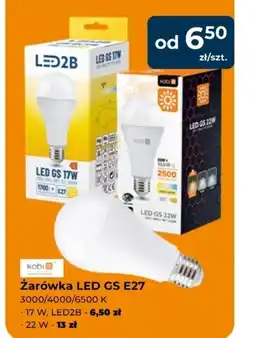 Mrówka Żarówka Kobi oferta