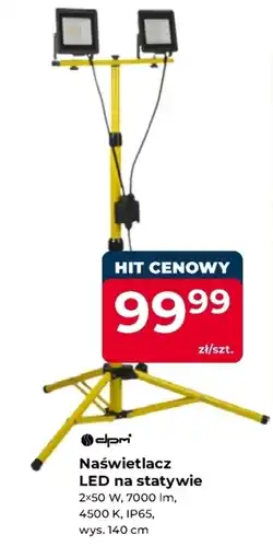 Mrówka Naświetlacz Hit oferta