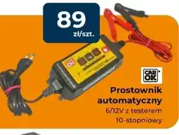 Mrówka Prostownik oferta