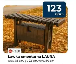 Mrówka Ławka Ołer oferta