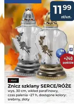 Mrówka Znicz Kerti oferta