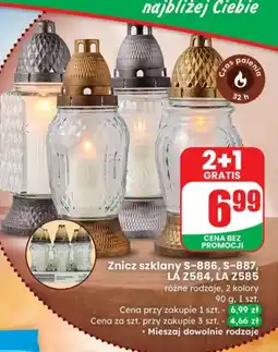 Dino Znicz oferta