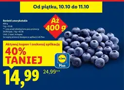 Lidl Borówki amerykańskie Plus-Plus oferta