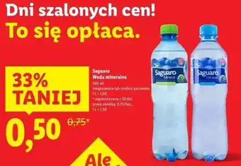 Lidl Woda niegazowana Saguaro oferta