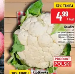 Polomarket Kalafior Polski oferta