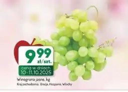 Avita Winogrona oferta