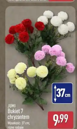 ALDI Bukiet Jumi oferta