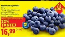 Lidl Borówki amerykańskie oferta