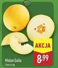 ALDI Melon galia oferta