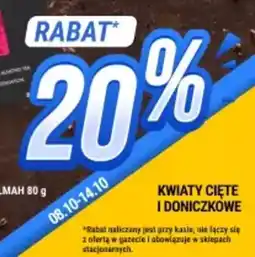 bi1 Kwiaty cięte i doniczkowe oferta
