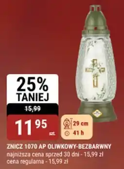 bi1 Znicz 1070 ap oliwkowy-bezbarwny oferta