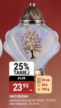 bi1 Znicz drzewo oferta