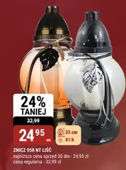 bi1 Znicz 958 nt liść oferta