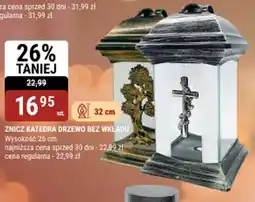 bi1 Znicz katedra drzewo bez wkladu oferta