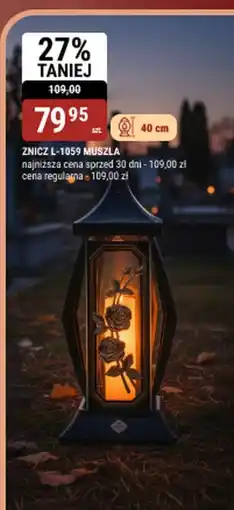 bi1 Znicz l-1059 muszla oferta