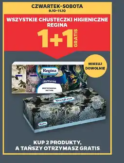Netto Wszystkie chusteczki higieniczne regina oferta