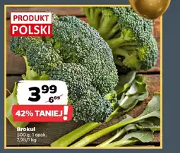 Netto Brokuł oferta