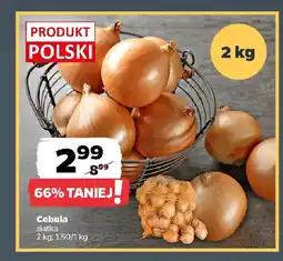 Netto Cebula oferta
