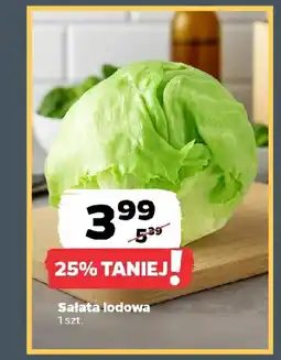 Netto Sałata lodowa oferta
