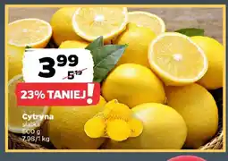 Netto Cytryna oferta
