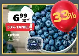 Netto Borówka oferta