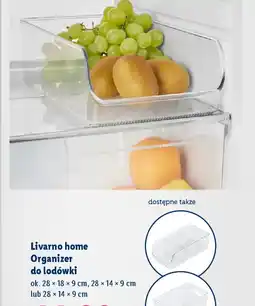 Lidl Livarno home Organizer do lodówki oferta