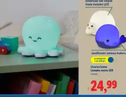 Lidl Lampka nocna LED Livarno home oferta