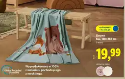 Lidl Koc Livarno oferta