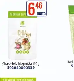 AT Intenson Chia szałwia hiszpańska oferta