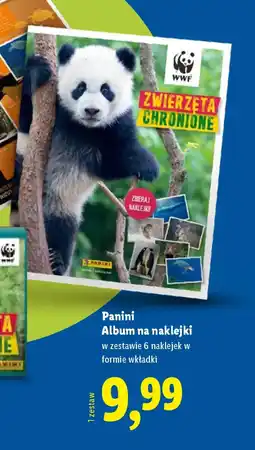 Lidl Panini Album na naklejki oferta