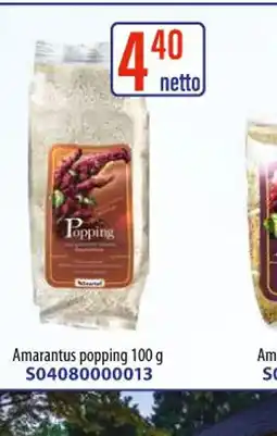 AT Amarantus popping oferta