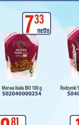 AT Morwa biała BIO oferta