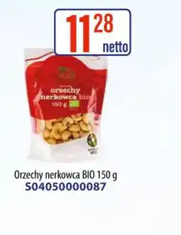 AT Orzechy nerkowca BIO oferta