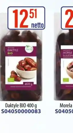 AT DAKTYLE BIO oferta