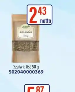 AT Zielnik Polski Szałwia liść oferta