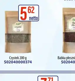 AT Zielnik Czystek oferta