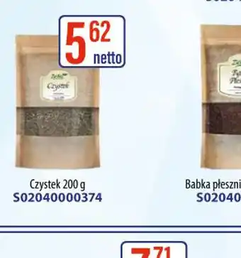 AT Zielnik Czystek oferta