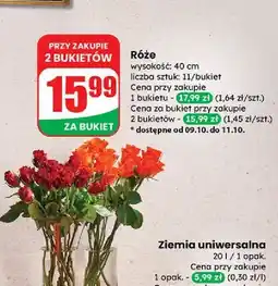 Dino Róża 40 cm oferta