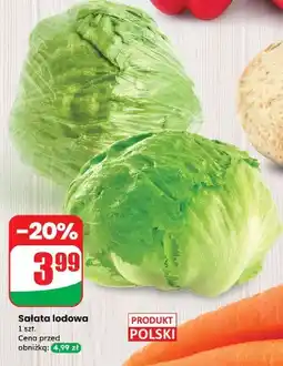 Dino Sałata lodowa polska oferta