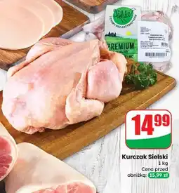 Dino Kurczak premium Sielski oferta